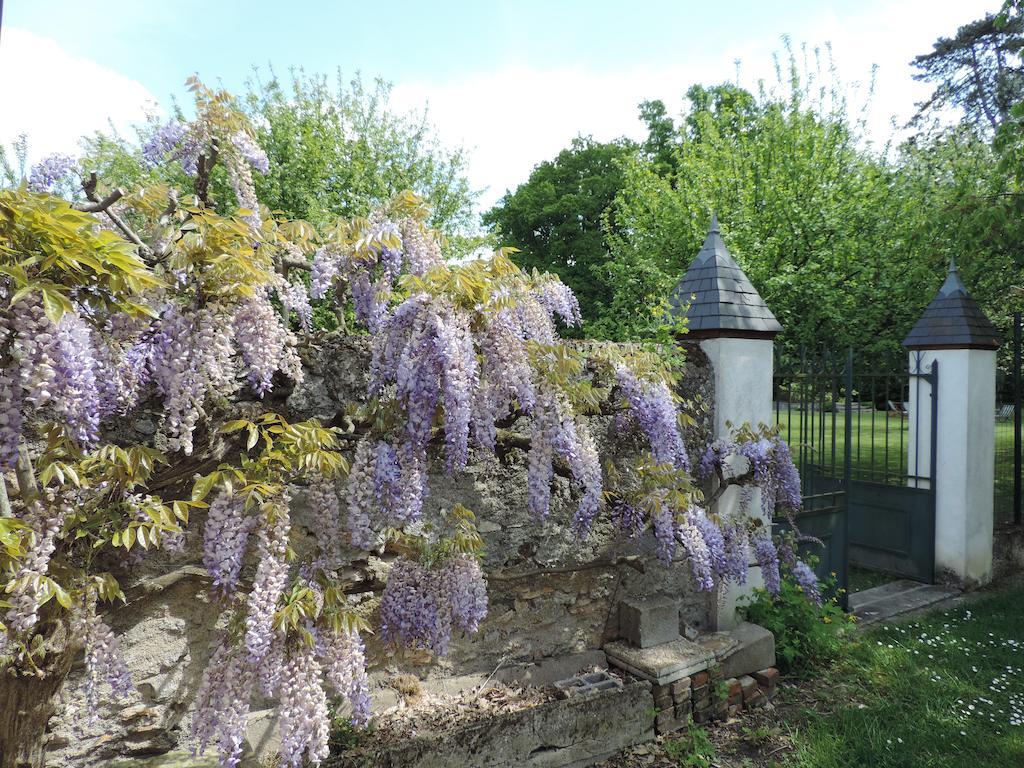Cedre Et Charme Saint-Branchs Exterior foto
